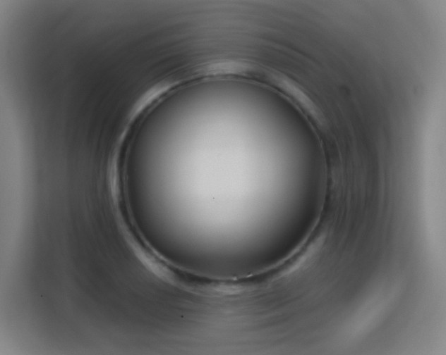 X0000113161034200909111010