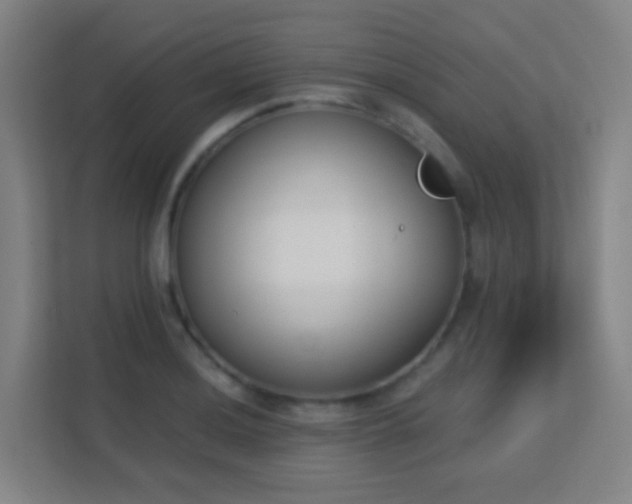 X0000113161036200909111010