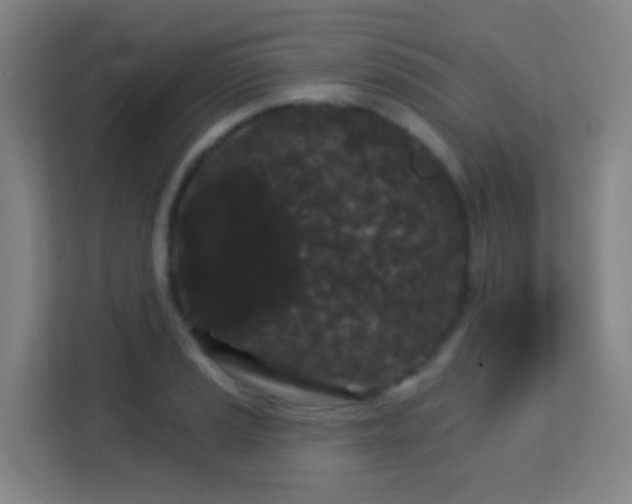 X0000113161037200909111010