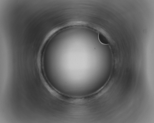 X0000113161038200909111010