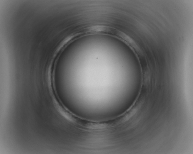 X0000113161039200909111010