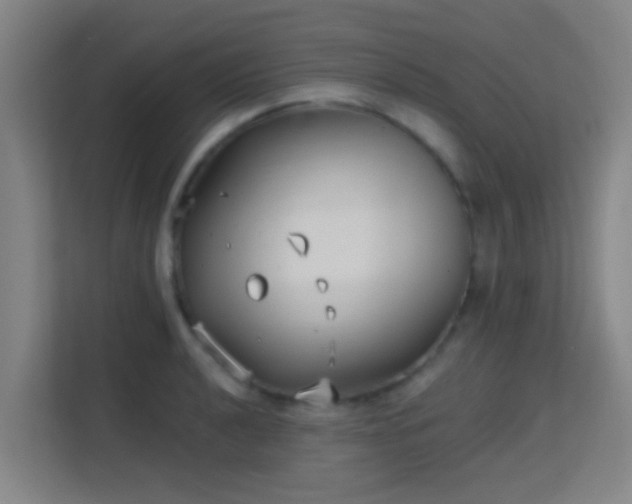 X0000113161040200909111010