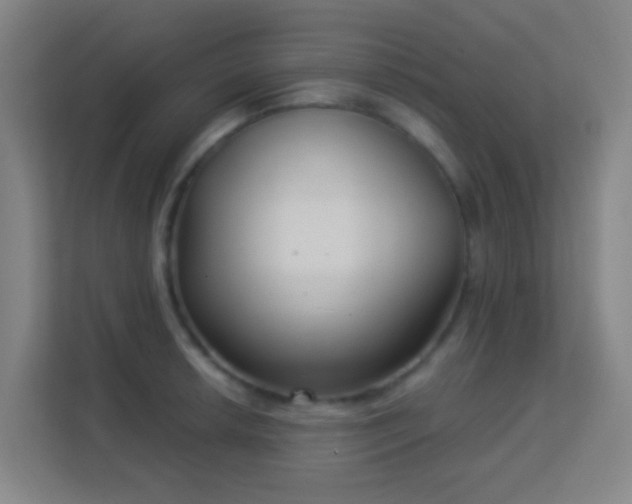 X0000113161042200909111010