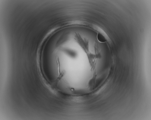 X0000113161043200909111010