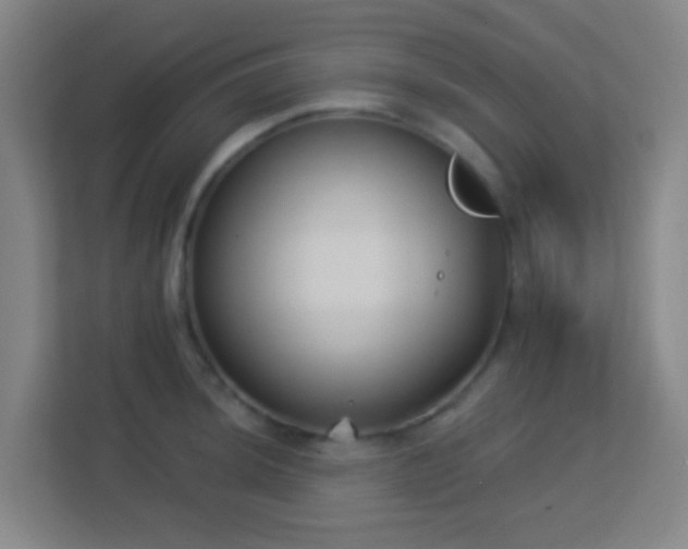 X0000113161044200909111010