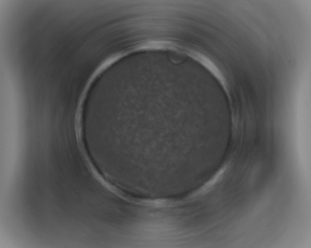 X0000113161045200909111010