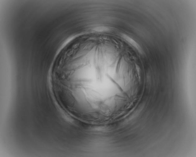 X0000113161047200909111010