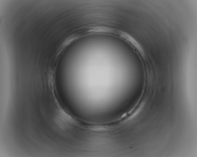 X0000113161049200909111010