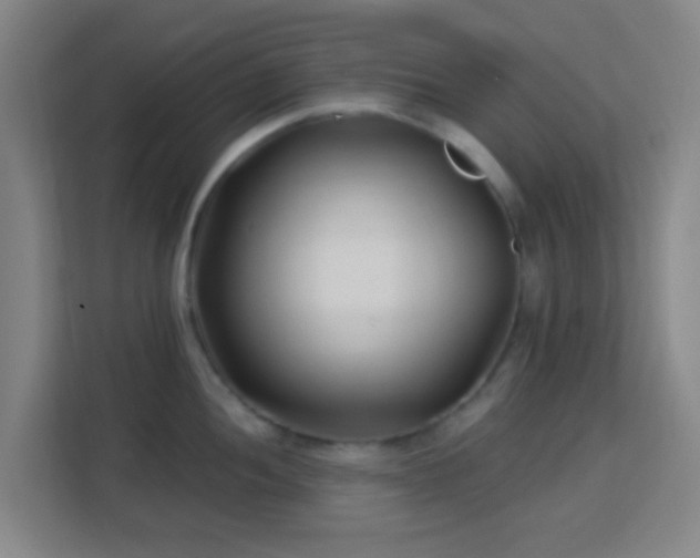 X0000113161052200909111010