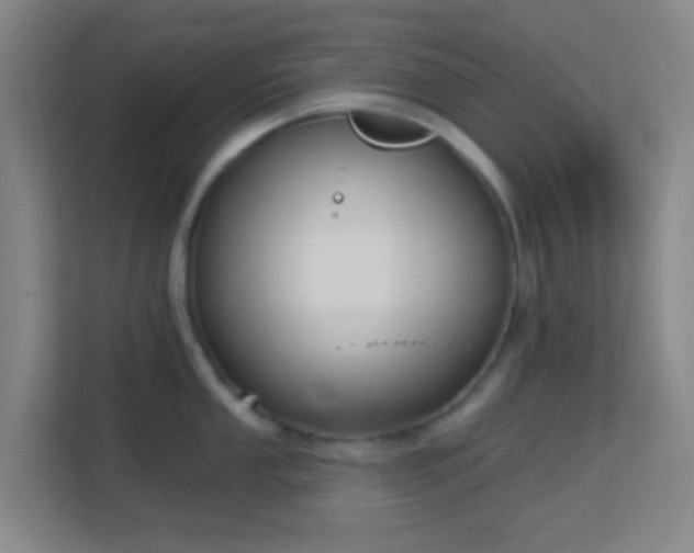 X0000113161053200909111010