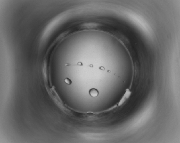 X0000113161054200909111010