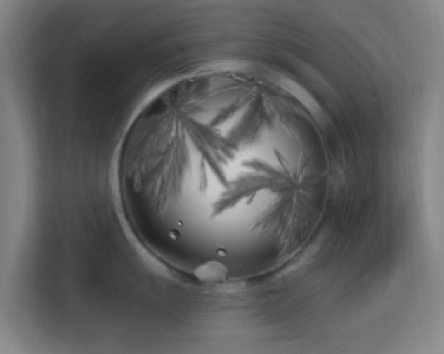 X0000113161055200909111010