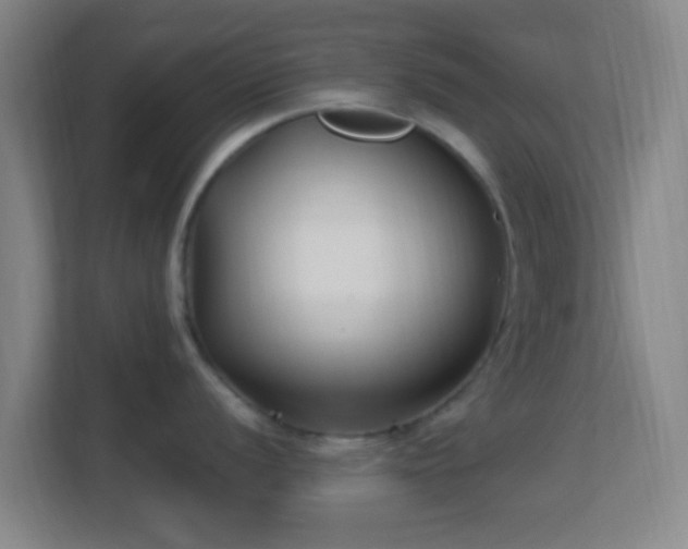 X0000113161056200909111011