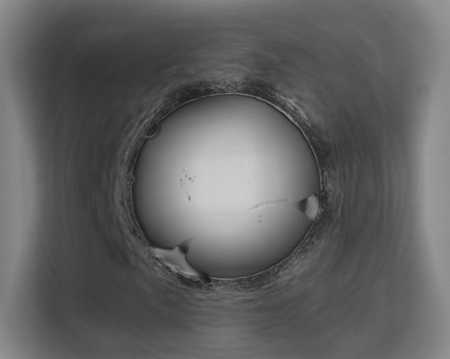 X0000113161057200909111010