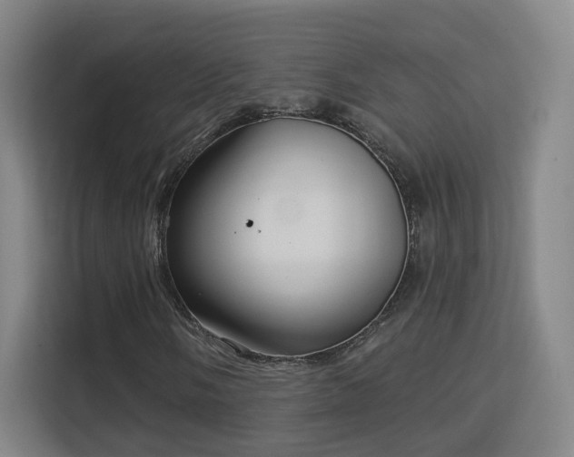 X0000113161058200909111010