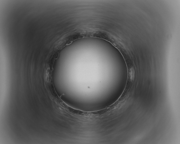 X0000113161059200909111010