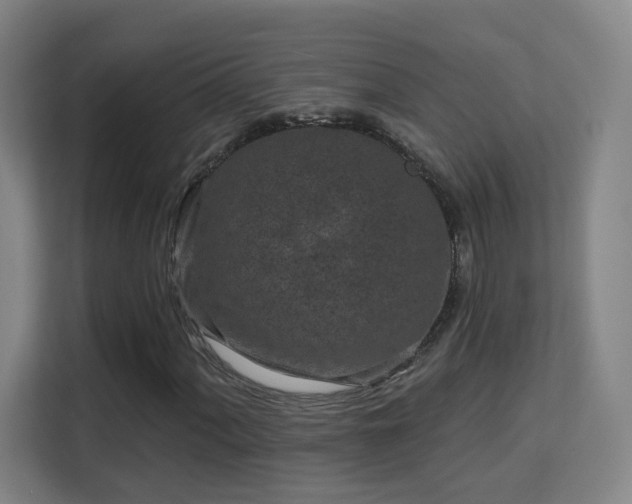 X0000113161060200909111010