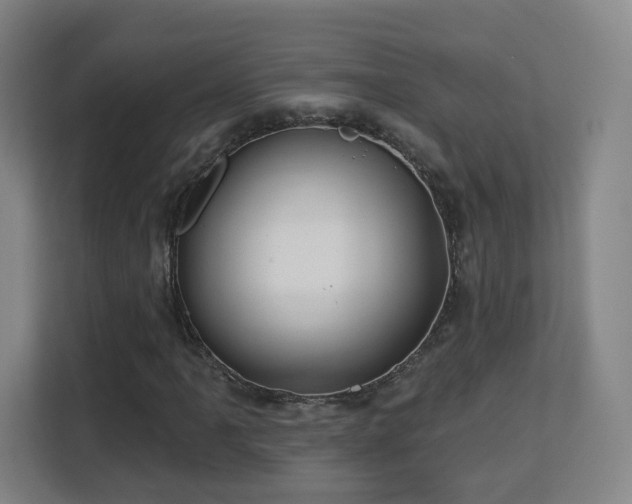 X0000113161061200909111010