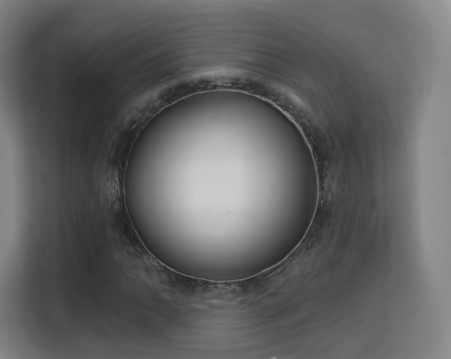 X0000113161062200909111010