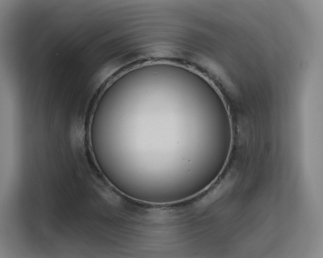 X0000113161065200909111010