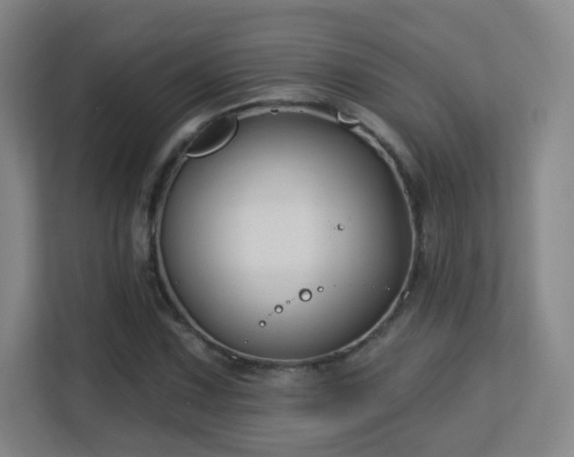 X0000113161067200909111010