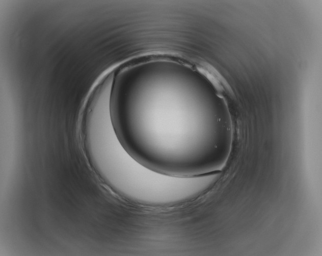 X0000113161068200909111010