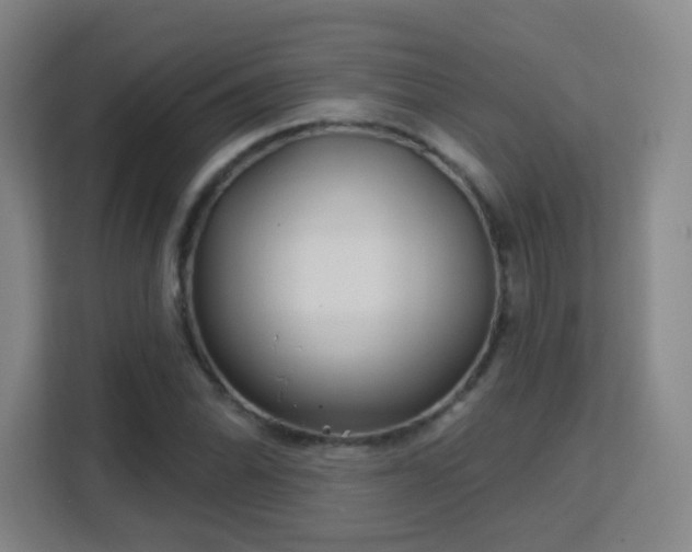 X0000113161070200909111010