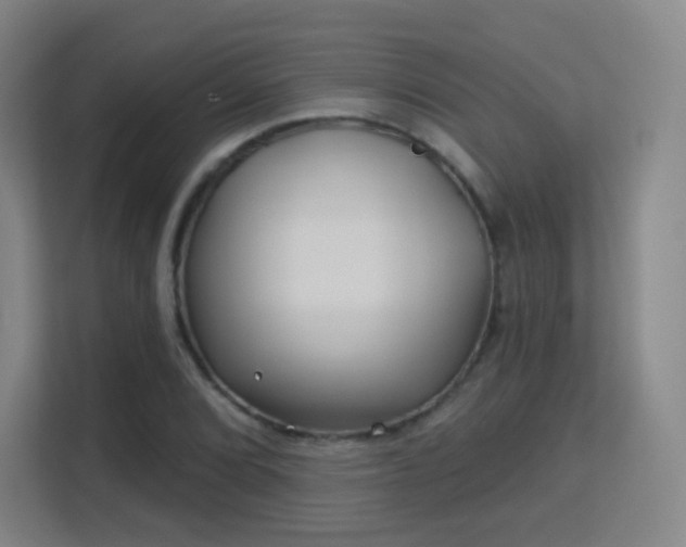 X0000113161072200909111010