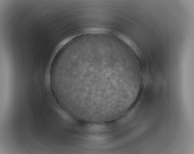 X0000113161074200909111010