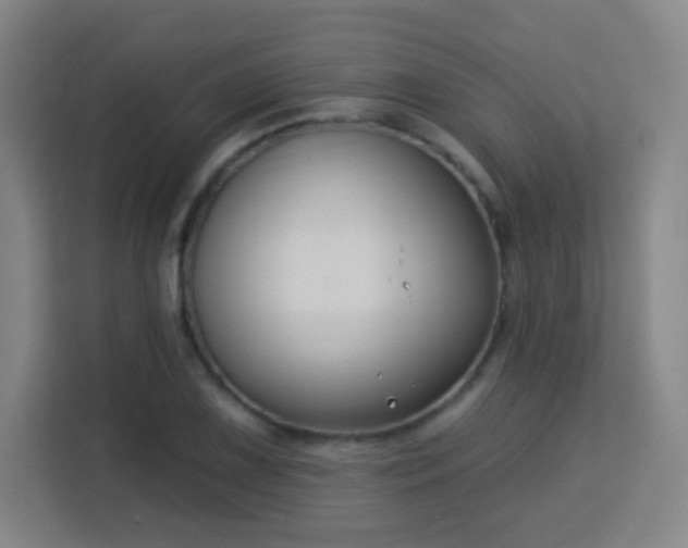 X0000113161075200909111010