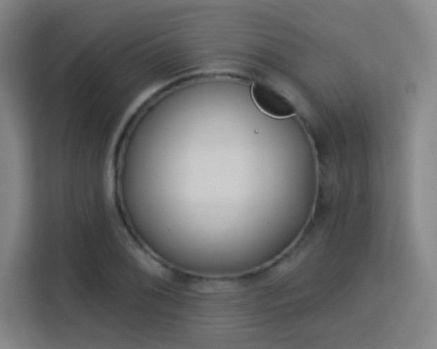 X0000113161076200909111010