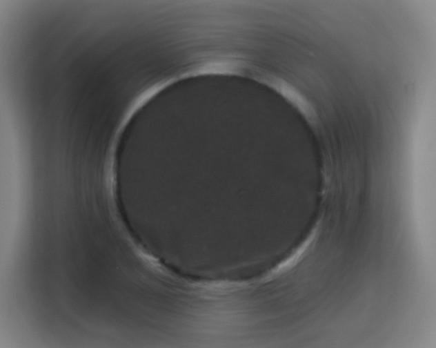 X0000113161077200909111010