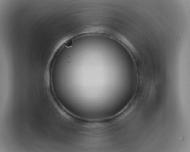 X0000113161079200909111010