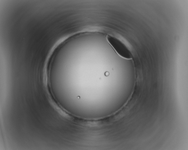 X0000113161080200909111010