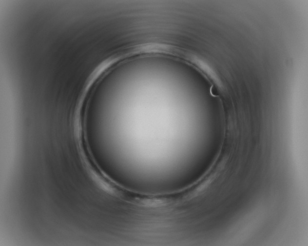 X0000113161082200909111010