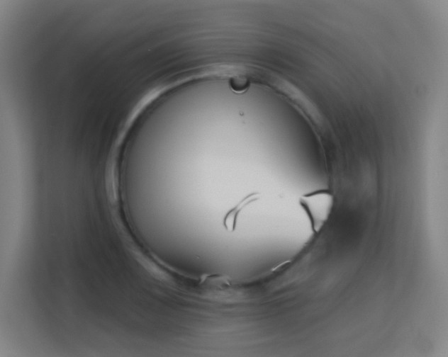 X0000113161083200909111010