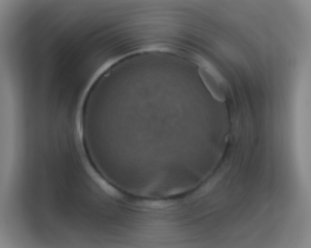 X0000113161084200909111010