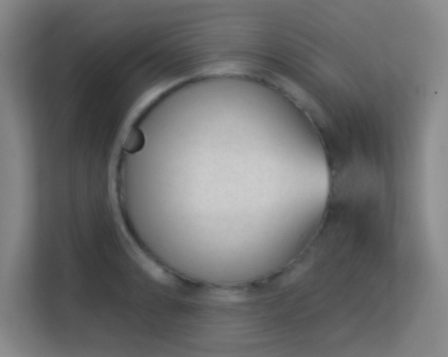 X0000113161086200909111010