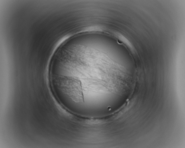 X0000113161087200909111009