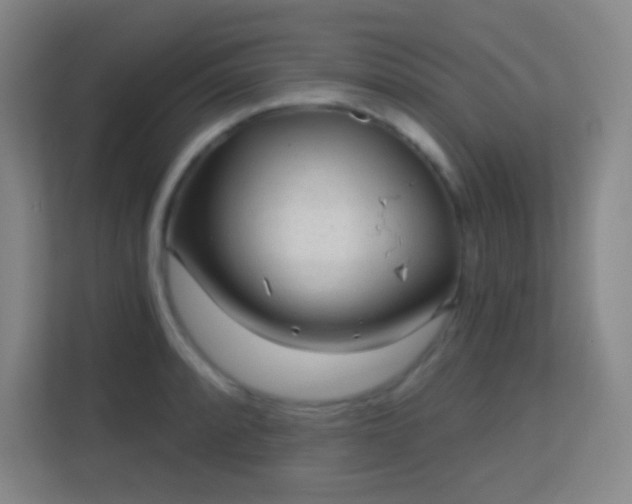 X0000113161088200909111009