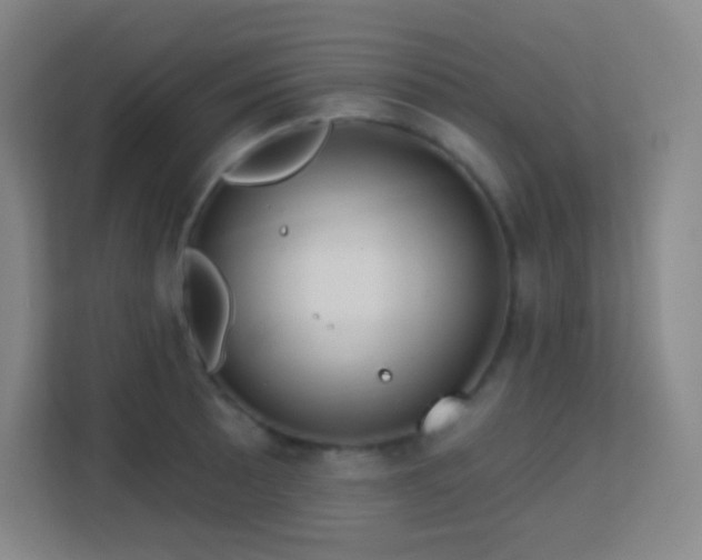 X0000113161089200909111009