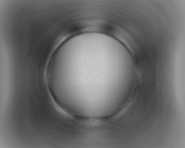 X0000113161090200909111009