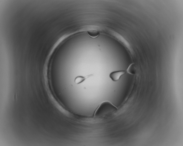 X0000113161091200909111009