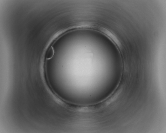 X0000113161093200909111009