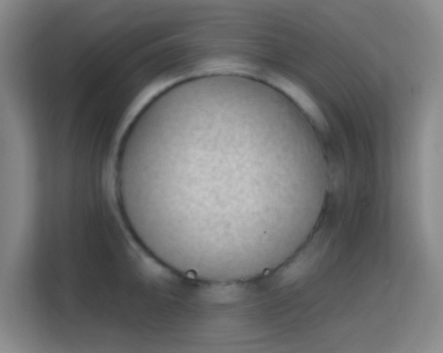 X0000113161094200909111009