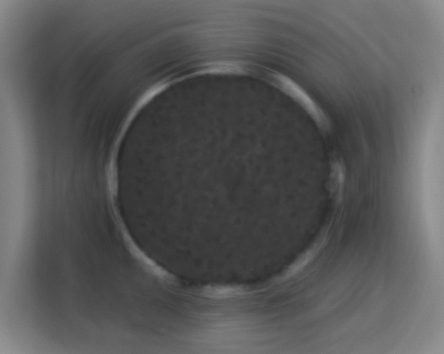 X0000113161095200909111009