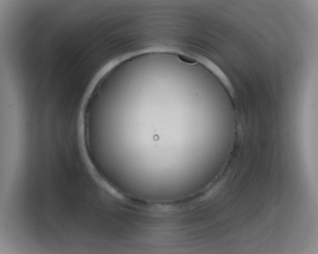 X0000113161096200909111009