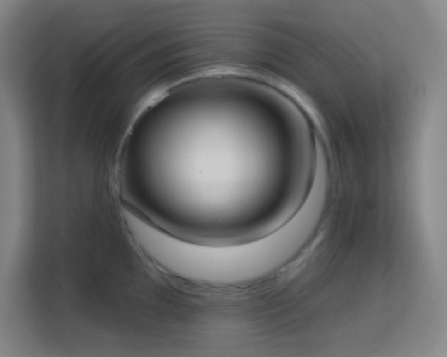 X0000113161097200909111009