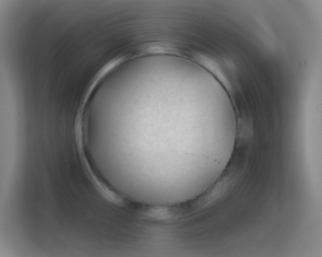 X0000113161098200909111009