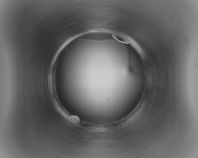 X0000113161100200909111009